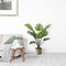 36-Inch Split Leaf Philodendron Plant in Decorative Pot | Lifelike Indoor Foliage for Home and Office Décor | Easy Care, Low-Maintenance Greenery | Floral Home by Artificial Flowers